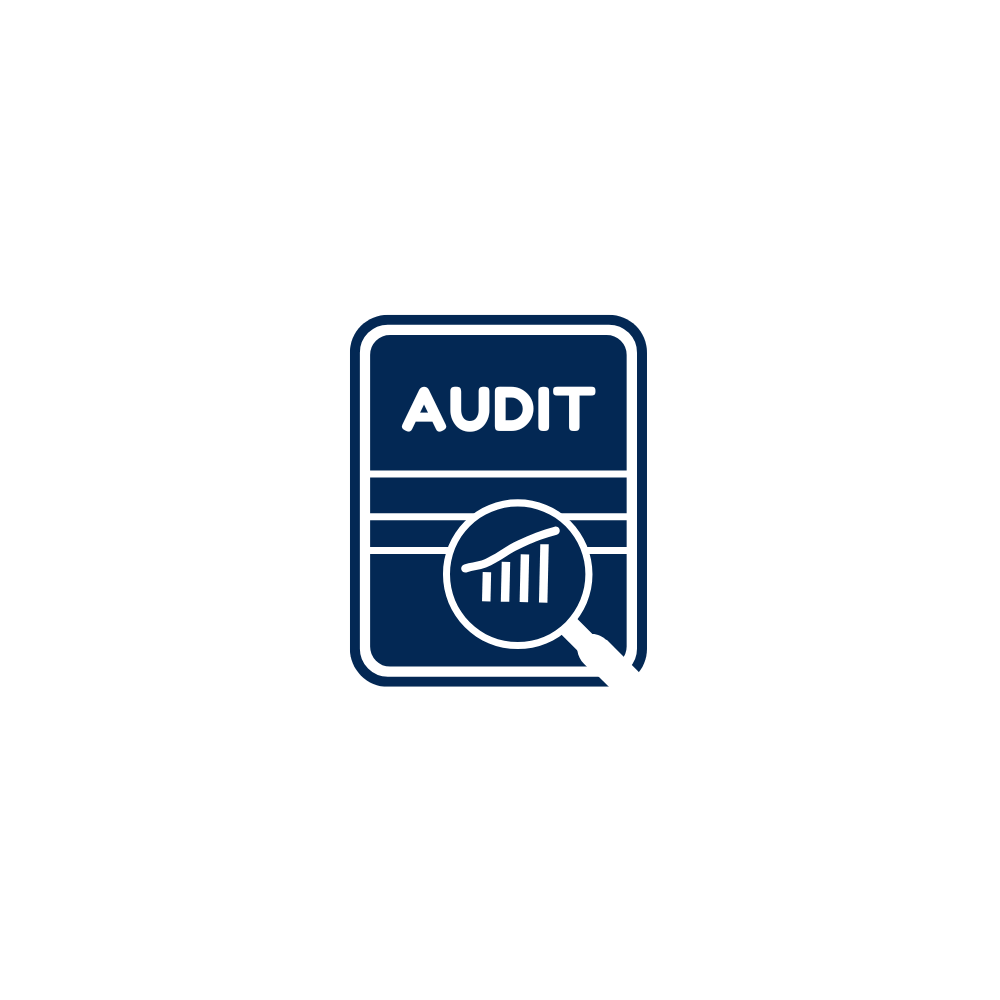 Audit & Assurance Services